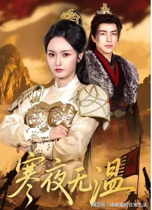 寒夜无温,探寻孤独与温暖的边界