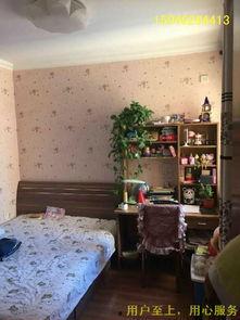 家里家外2,探寻和谐生活的秘密