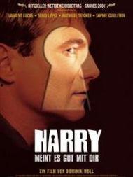 我最好的朋友哈利,挚友相伴，共度时光